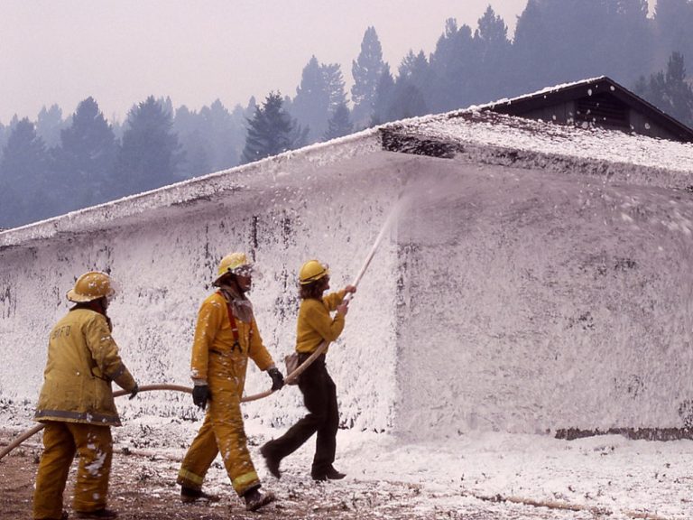 The Toxic Substances Control Act provided EPA with authority to regulate chemical substances and mixtures