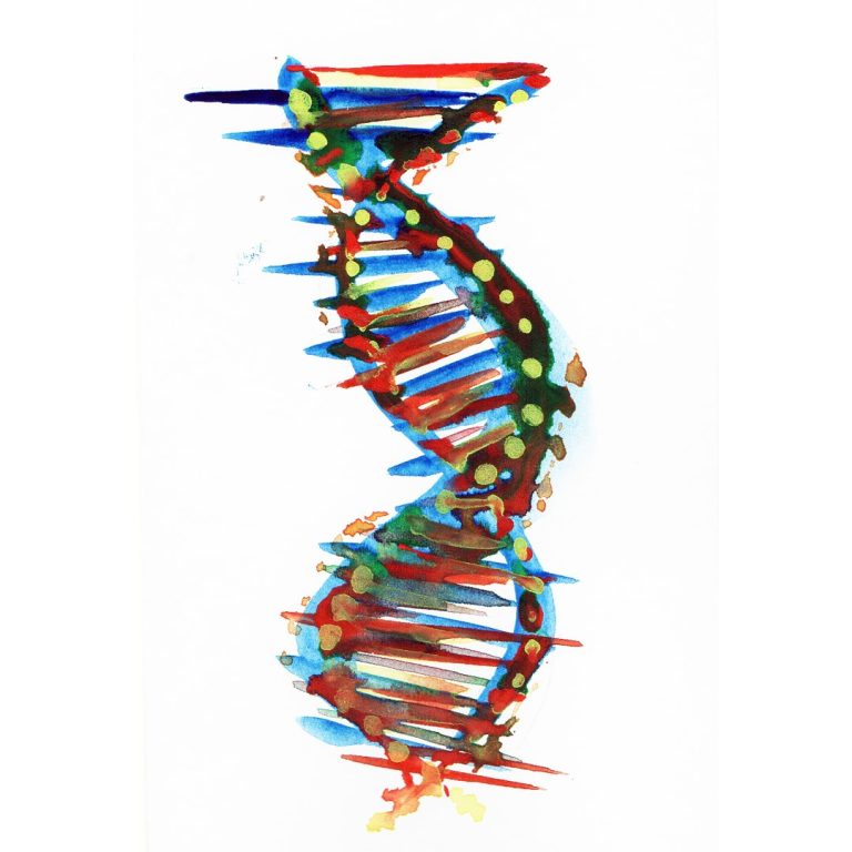 Lawrence Livermore researchers published solution to chromosome painting