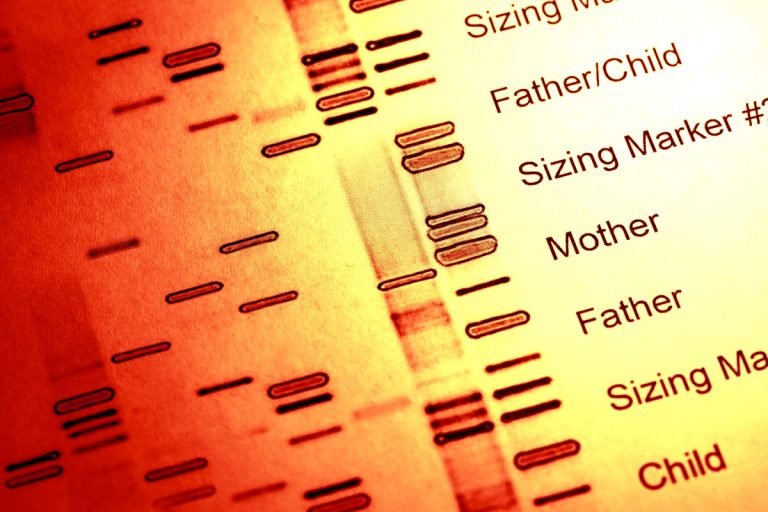 Ancient DNA unlocks new understanding of migrations in the first millennium AD