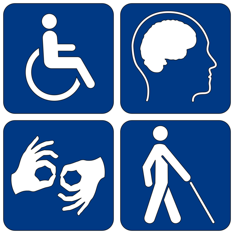 The term ‘developmental disability’ was introduced