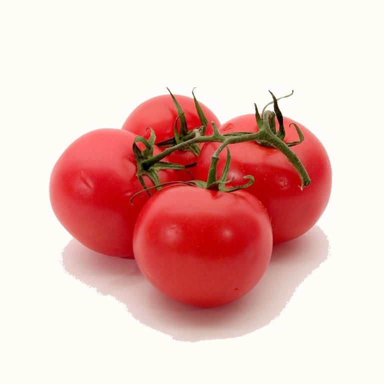 Tomato genome was published in Nature