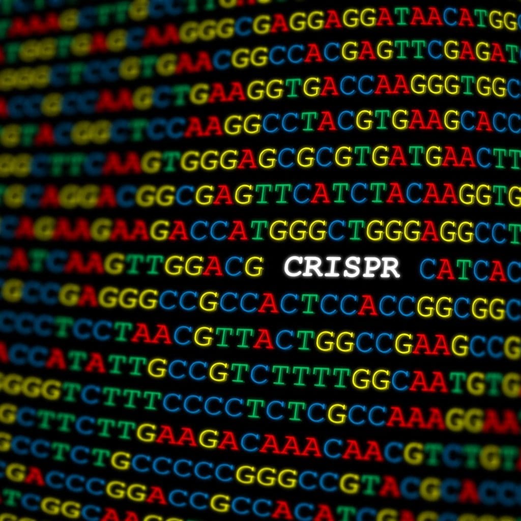 Using next-gen CRISPR tool, Gladstone scientists created unprecedented ...