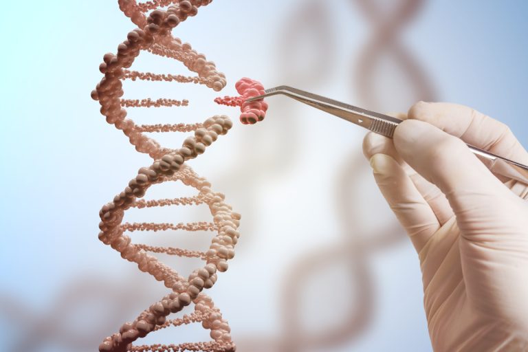 A genome-wide atlas of cell morphology revealed gene functions