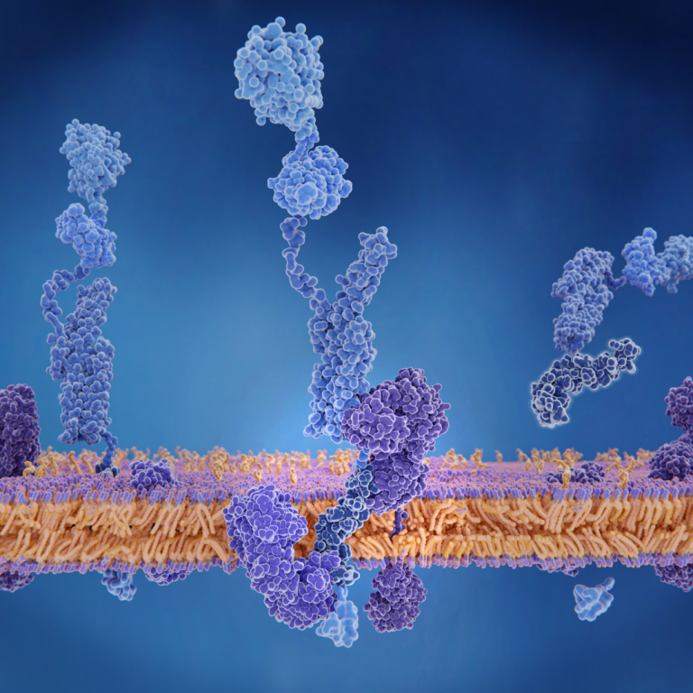 New Research Identifies Key Cellular Mechanism Driving Alzheimer’s Disease
