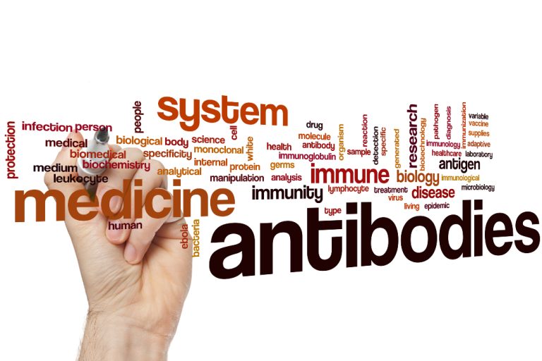 iBio Discovers Novel Antibody Targeting Activin E in Collaboration with AstralBio