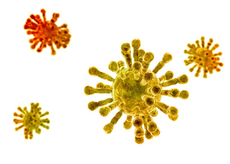 Pascal Biosciences discovered a cannabinoid that combats Coronavirus