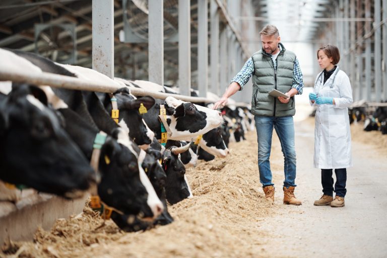 Survey of Highly pathogenic avian influenza A(H5) Shows Incidence of humans exposed to infected dairy cattle Increasing