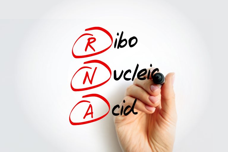 Rice research team creates universal RNA barcoding system for tracking gene transfer in bacteria