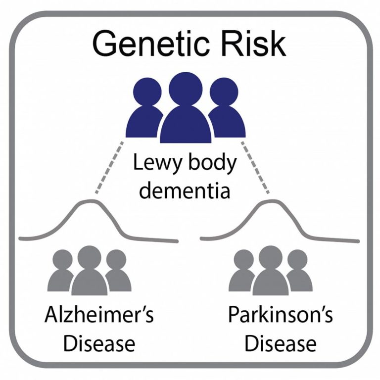 Genetic study of Lewy body dementia supported ties to Alzheimer’s and Parkinson’s diseases