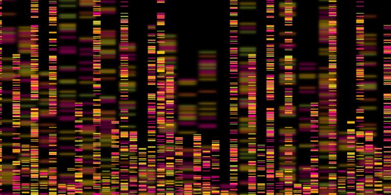 The first major DNA sequence databases were established in the U.S. (GenBank) and Germany