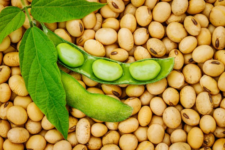 Soybean oil developed at Iowa State eliminated need for hydrogenation and cuts trans fats