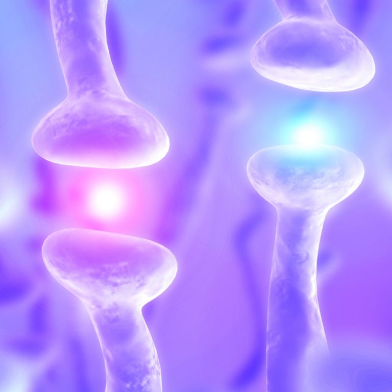 FDA Approves Genentech’s Evrysdi Tablet as First and Only Tablet for Spinal Muscular Atrophy