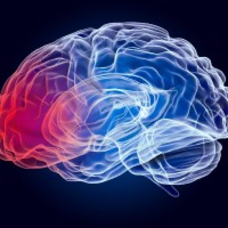 A gene associated with Parkinson’s disease was discovered