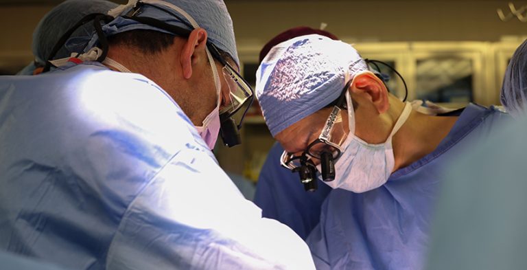 In a first, genetically edited pig kidney was transplanted into a human