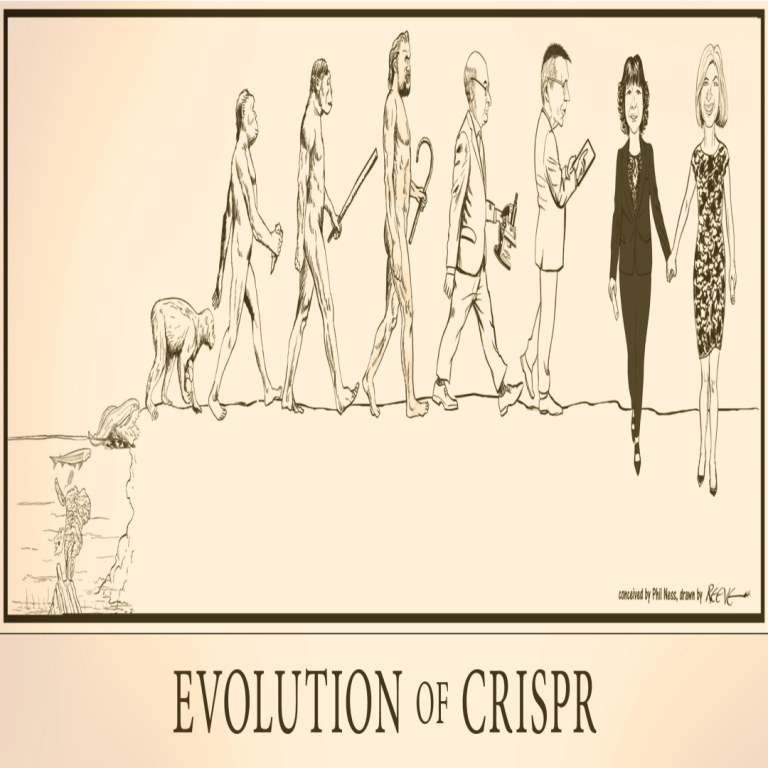 Evolution of CRISPR
