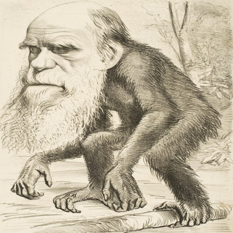 Tennessee Senate approved the Butler bill calling for a ban on the teaching of evolution