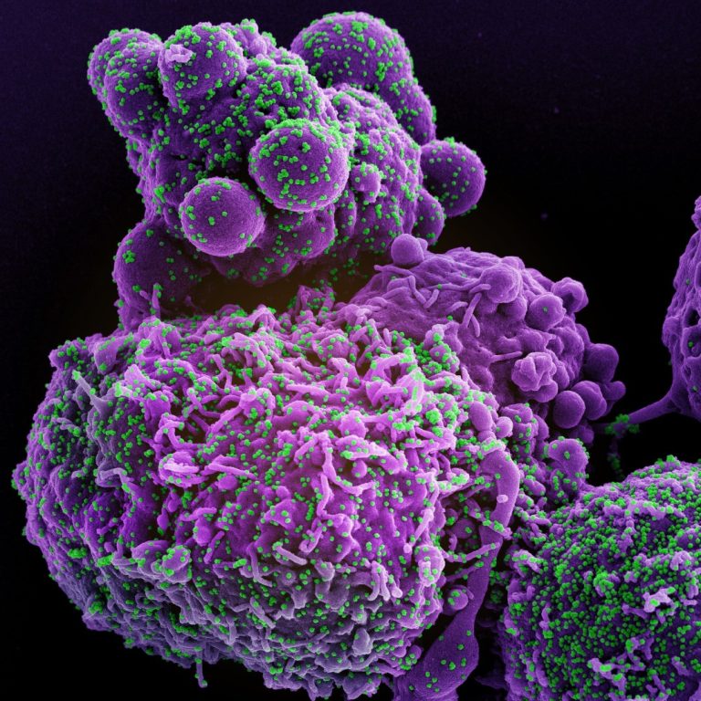 Novavax phase 3 COVID-19 Omicron trial supported continued and future use of prototype vaccine as a booster