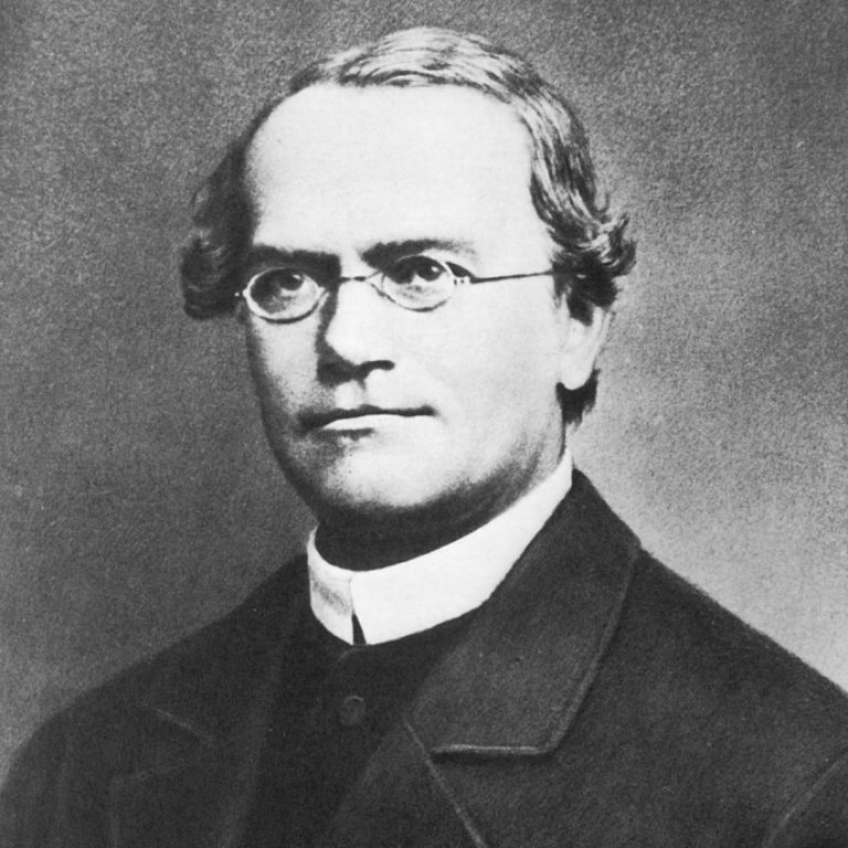 Century-old genetics mystery of Mendel’s peas finally solved