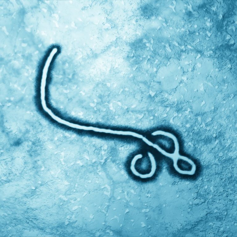 The CDC investigated an deadly outbreak of Ebola virus in Zaire