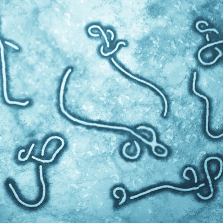 Uganda declares end of Ebola outbreak