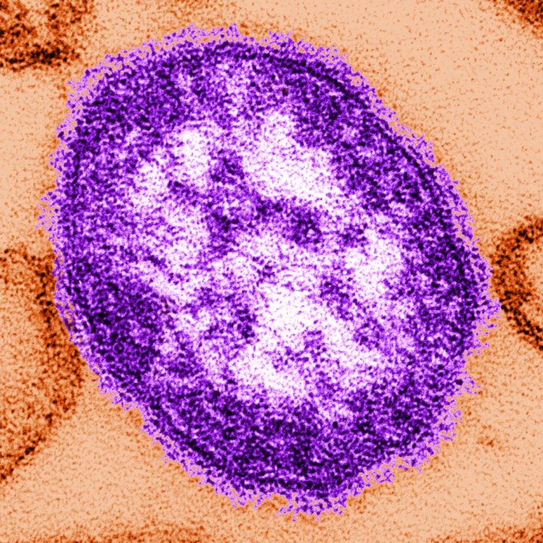 CDC report showed 20-year US immunization program spared millions of children from diseases