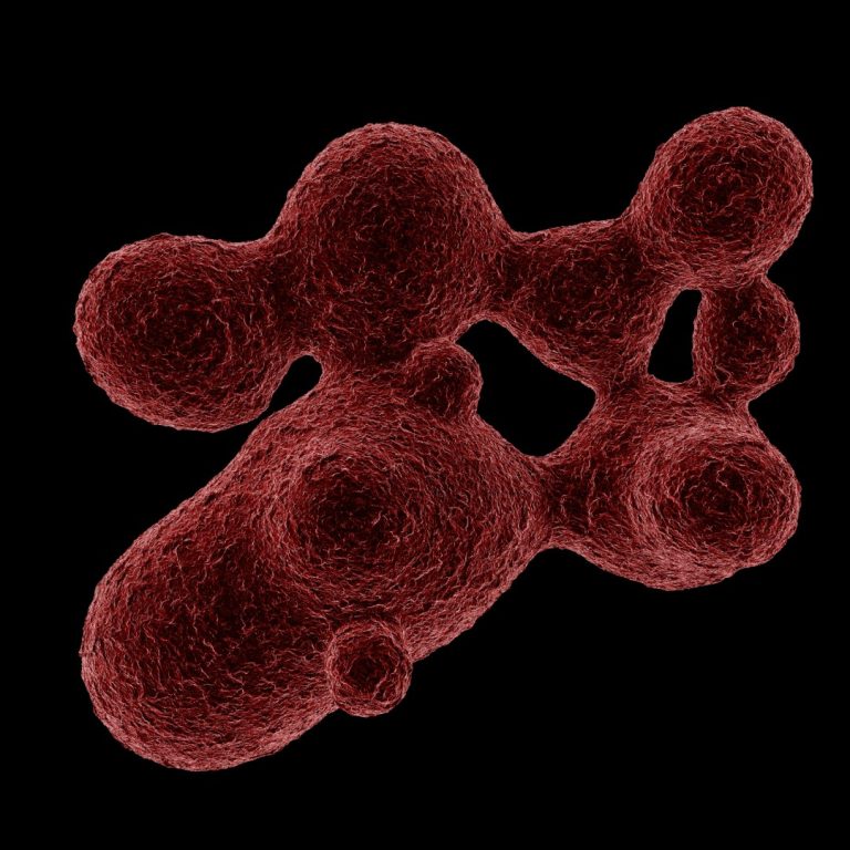 FDA Approved Qfitlia™ (fitusiran), the First siRNA (RNAi Therapeutic) for the Treatment of Hemophilia A or B