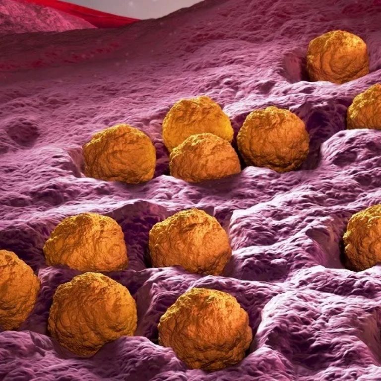 Pan American Health Organization declared Rubella Eliminated in the Americas