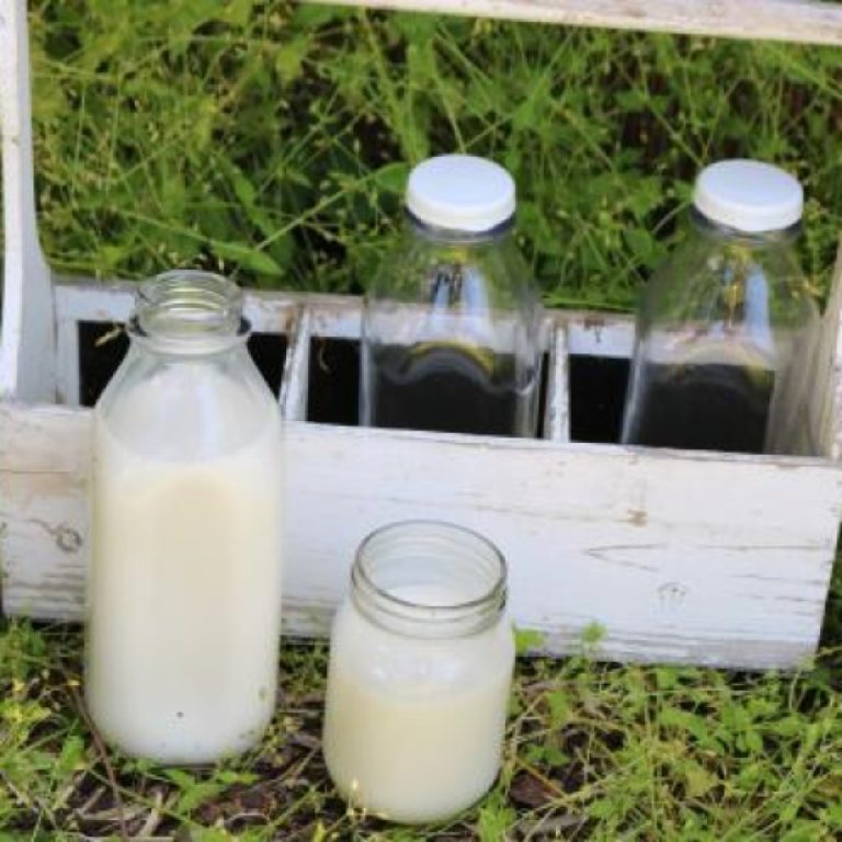 Bovine somatotropin (BST) was approved by the U.S. Food and Drug Administration