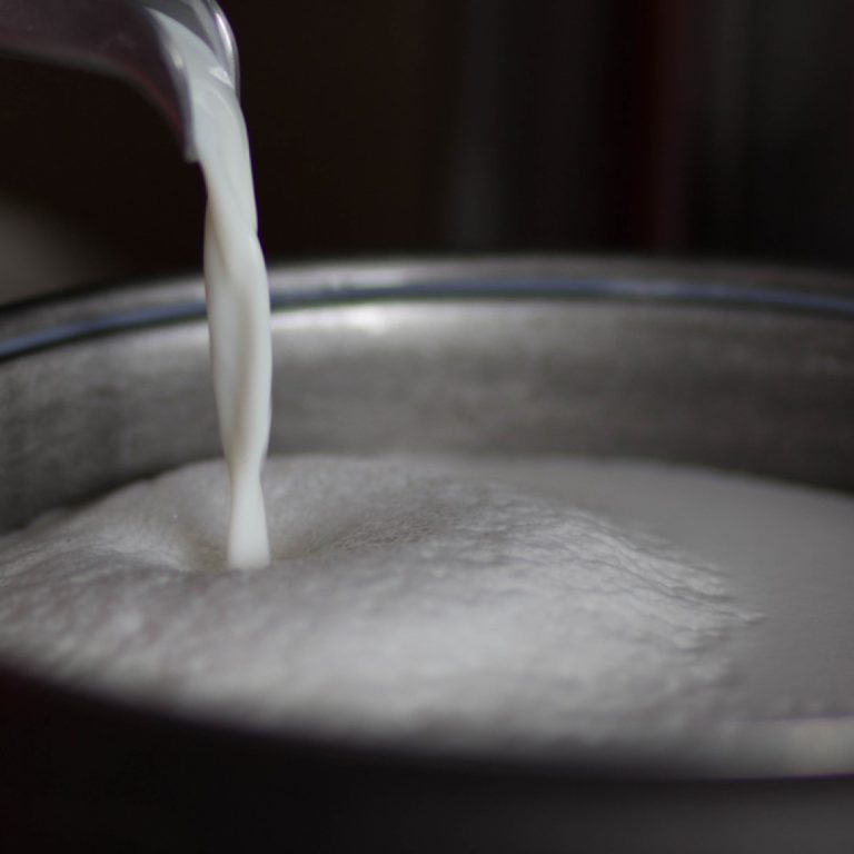 Study Shows Cheese from Raw Milk Can Harbor Avian Influenza A (H5N1) Virus