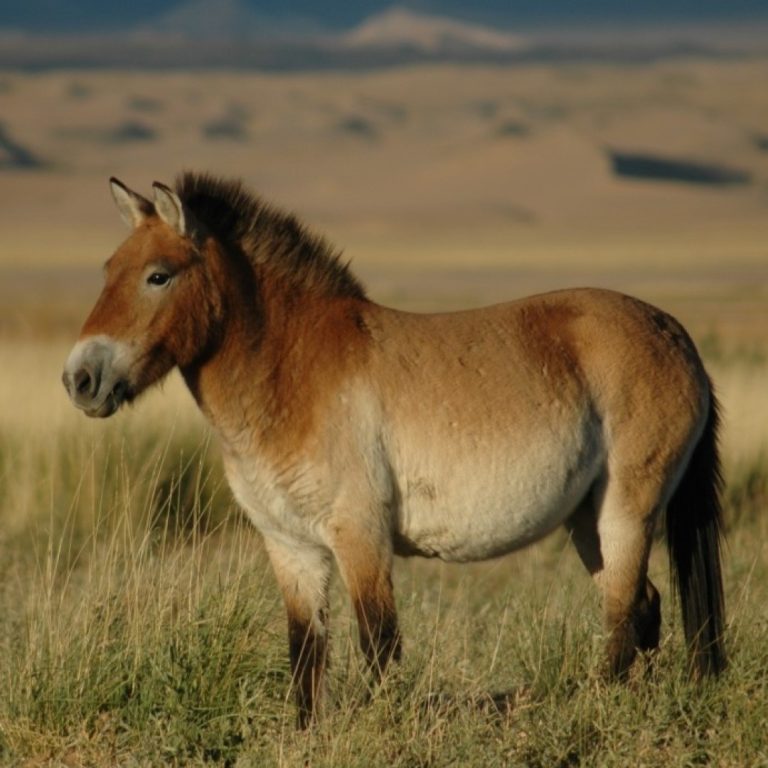 Landmark Study Highlights Cloning as a Proven Conservation Tool for Species on the Brink