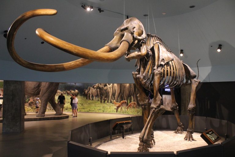 Ancient DNA data hold insights into past organisms and ecosystems — handle them with more care
