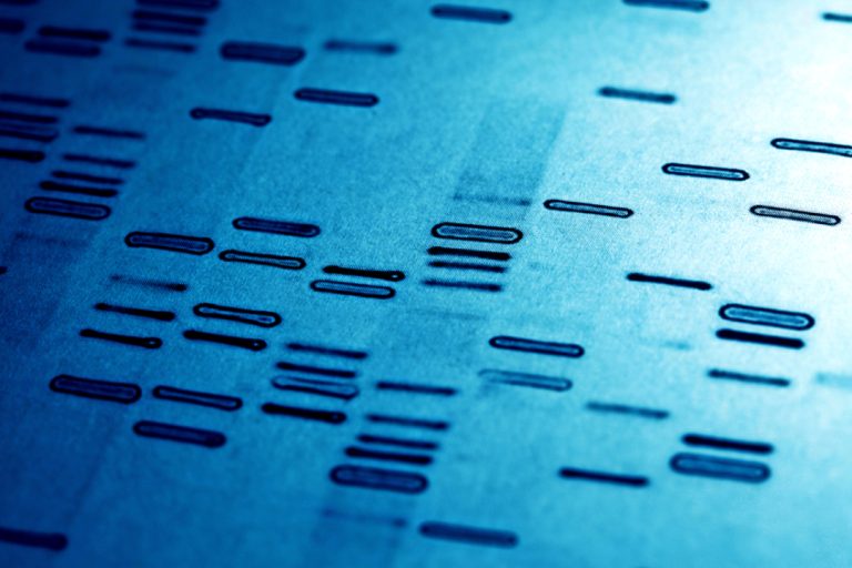 DNA first used in Montana for murder conviction