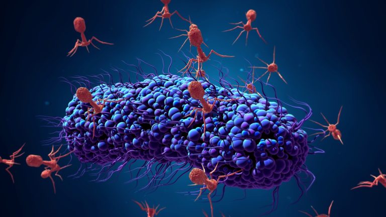 University of Pittsburgh researchers Reveal most detailed images ever of bacteria-killing viruses