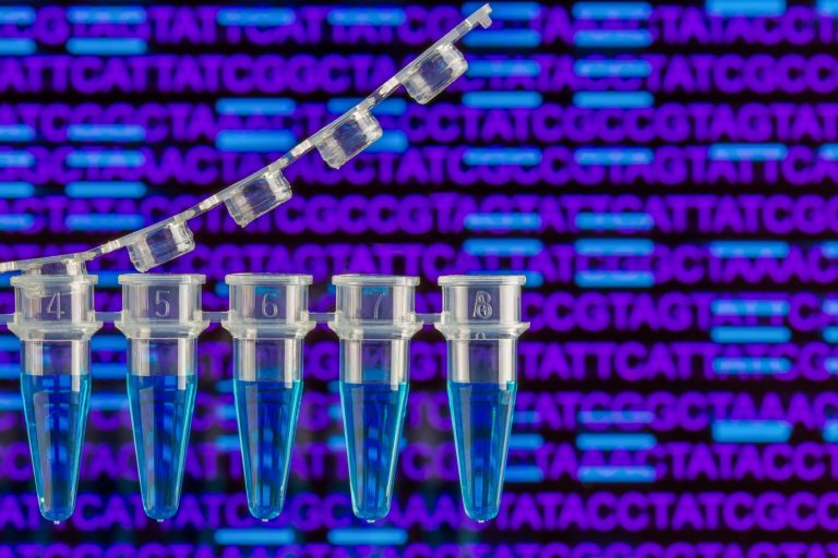 The restriction fragment length polymorphism (RFLP) technique, which is a DNA analysis technique, is used in cancer research