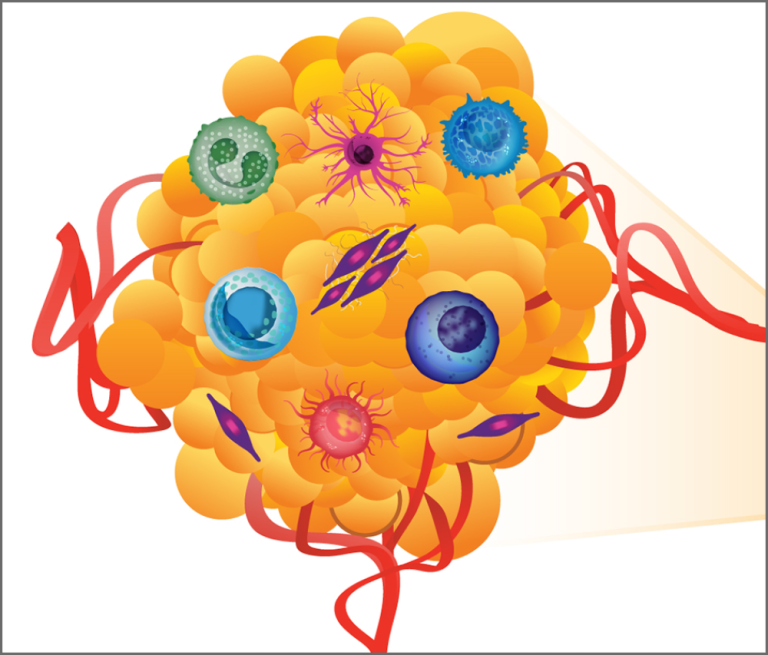 NIH-funded scientists uncover clues to precancer and tumor biology