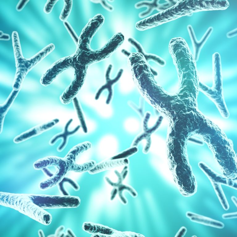 Bacterial ‘jumping genes’ can target and control chromosome ends