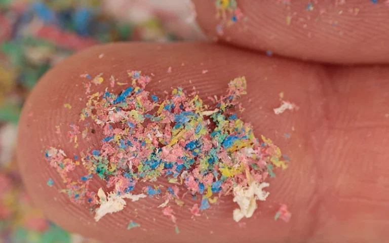 New Evidence Links Microplastics with Chronic Disease