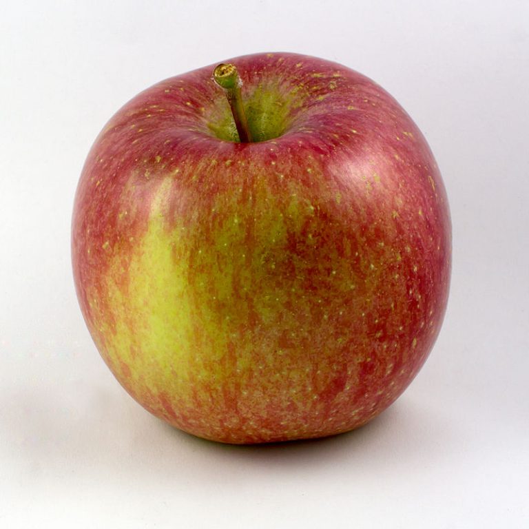 Genome sequencing of ‘Fuji’ apple clonal varieties reveals genetic mechanism of spur-type morphology