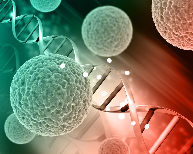 Scientists discover compounds that help cells fight a wide range of viruses