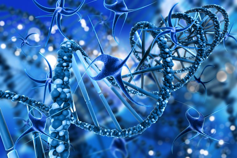 Jumping genes Alters the Genome