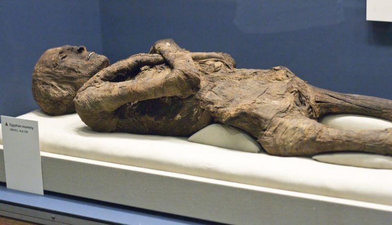 First human genome from ancient Egypt sequenced